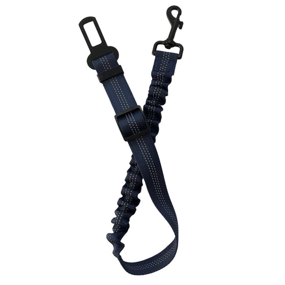 Sicherheitsgurt für Hunde