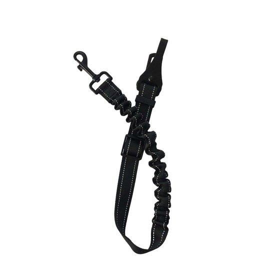 Sicherheitsgurt für Hunde