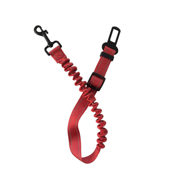 Sicherheitsgurt für Hunde