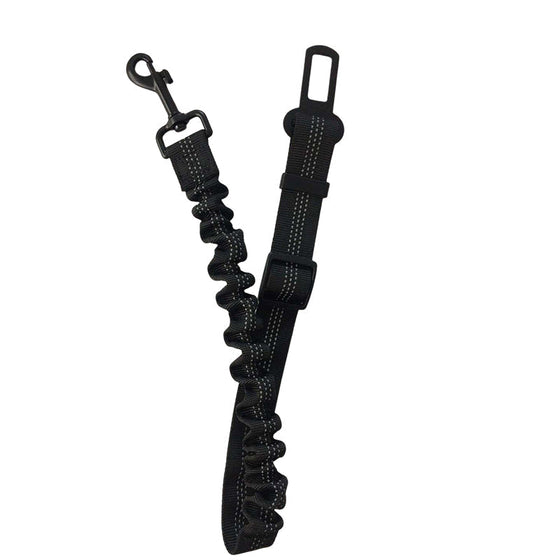 Sicherheitsgurt für Hunde