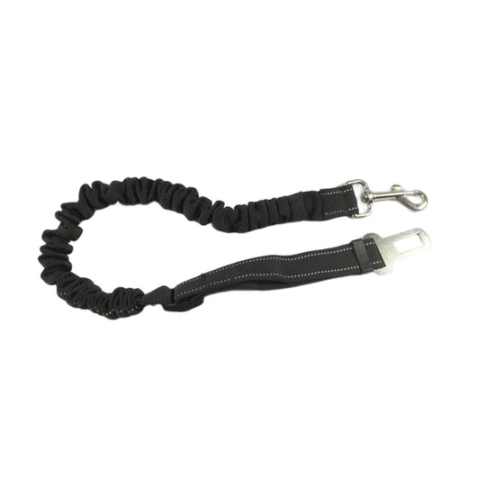 Sicherheitsgurt für Hunde