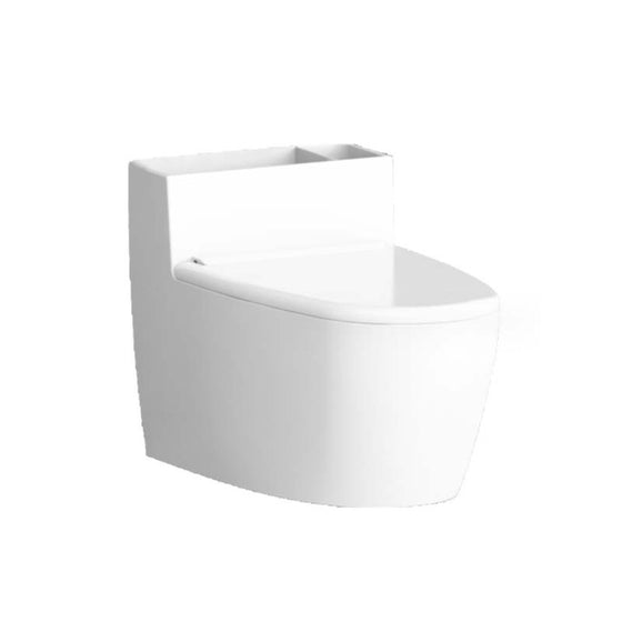 Kreative Aschenbecher-Toilettenform