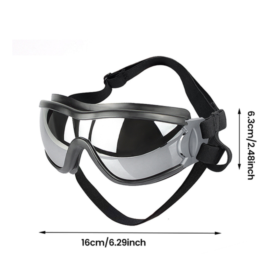 Outdoor-Hundebrille