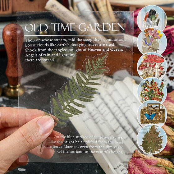 PET-Aufkleber-Set der Memory Garden-Serie