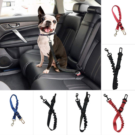 Sicherheitsgurt für Hunde