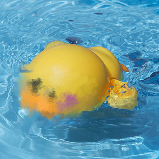 Schwimmender Pinguin