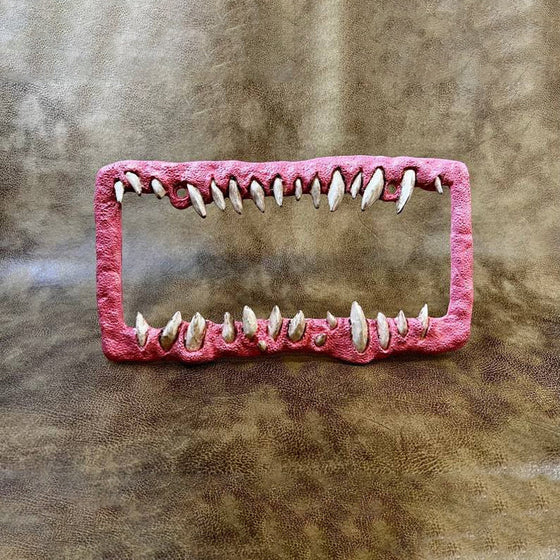 Lustige Nummernschilddekorationen